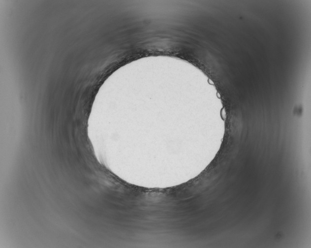 X0000112051297200909150953
