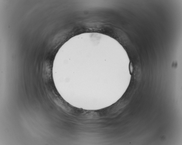 X0000112051298200909150953