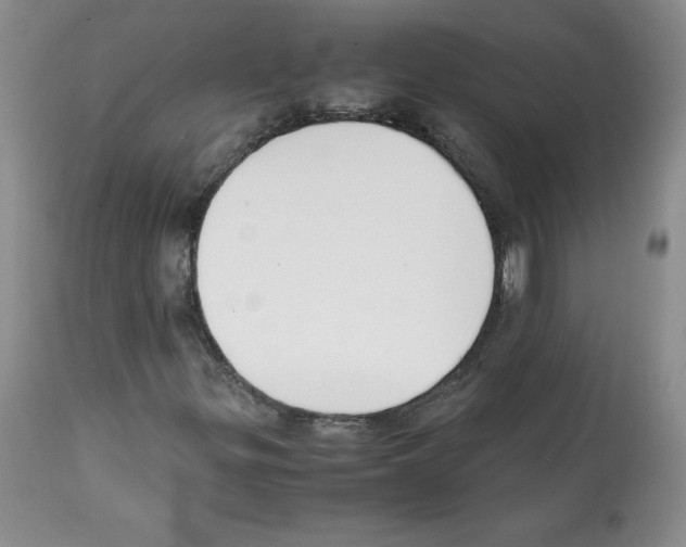 X0000112051299200909150953