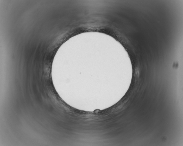 X0000112051300200909150953