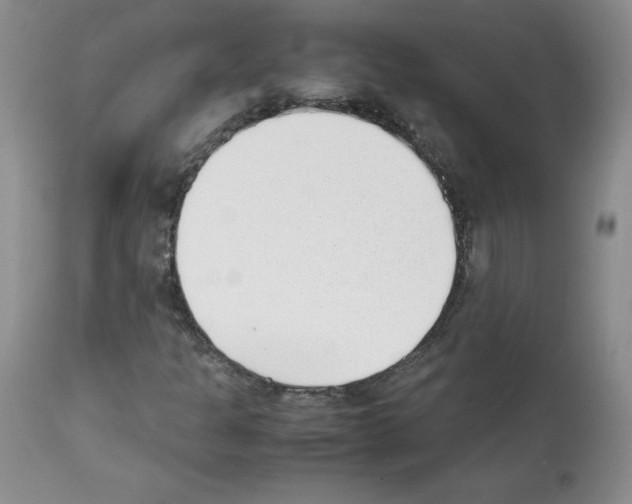X0000112051301200909150953