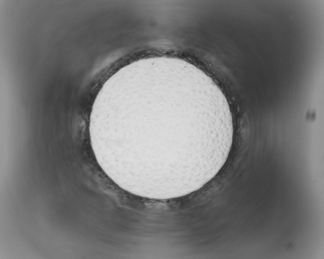 X0000112051302200909150953