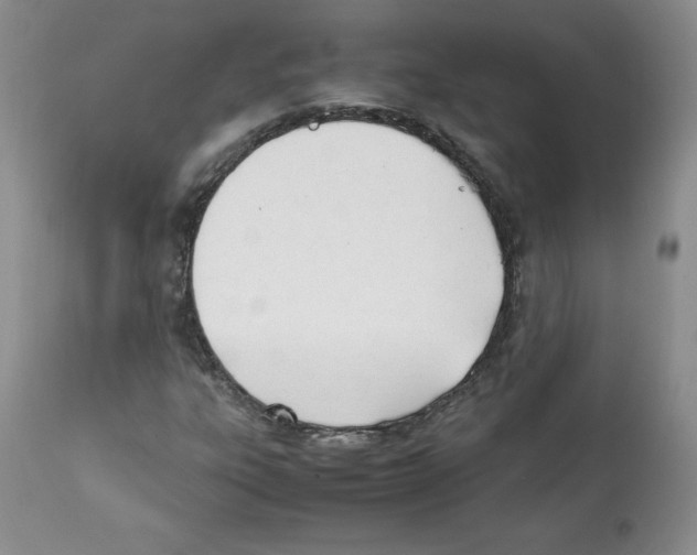 X0000112051303200909150953