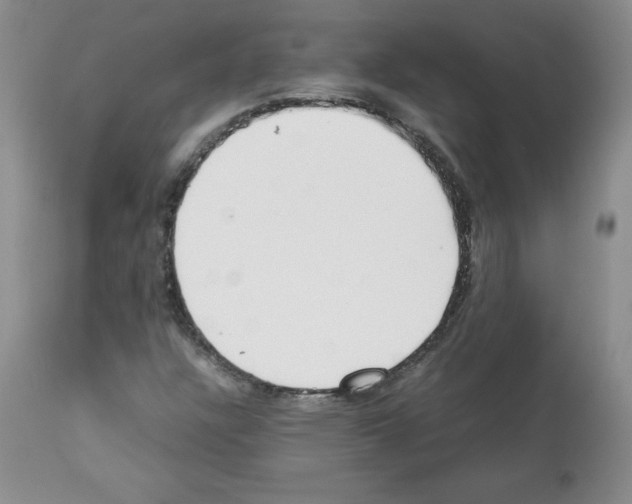 X0000112051304200909150953