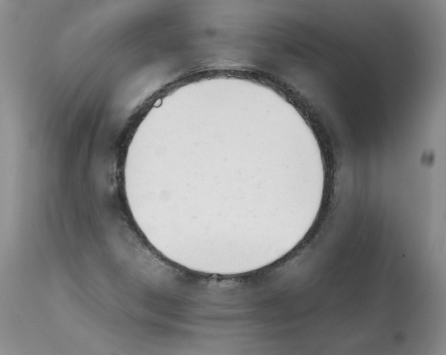X0000112051306200909150953