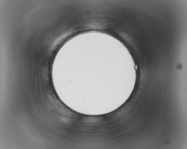 X0000112051307200909150953