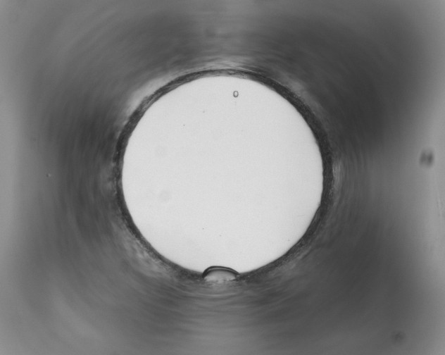 X0000112051308200909150953