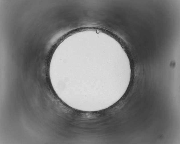 X0000112051311200909150953