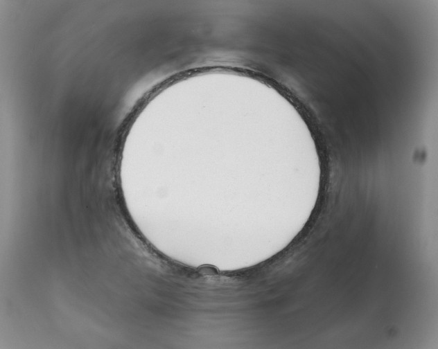 X0000112051312200909150953