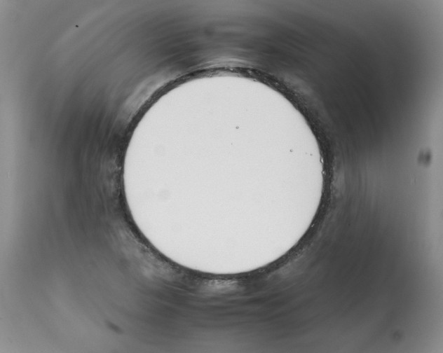 X0000112051313200909150953