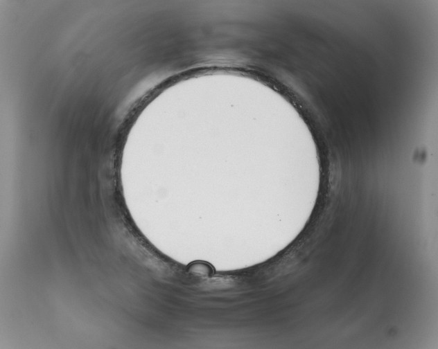 X0000112051315200909150953