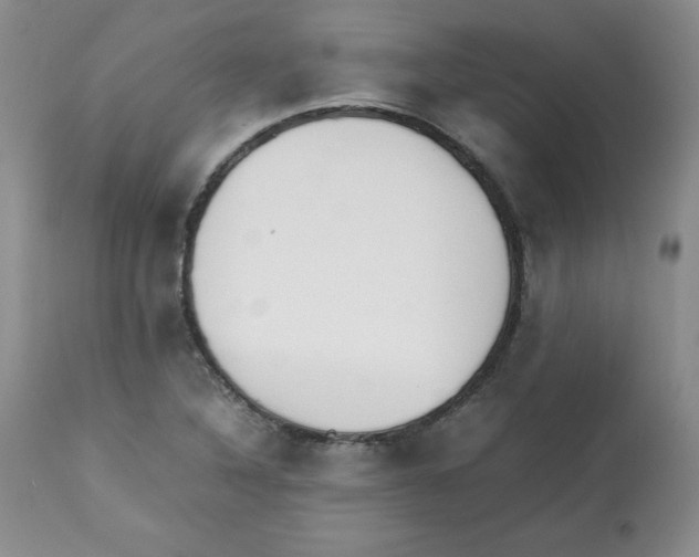X0000112051316200909150953