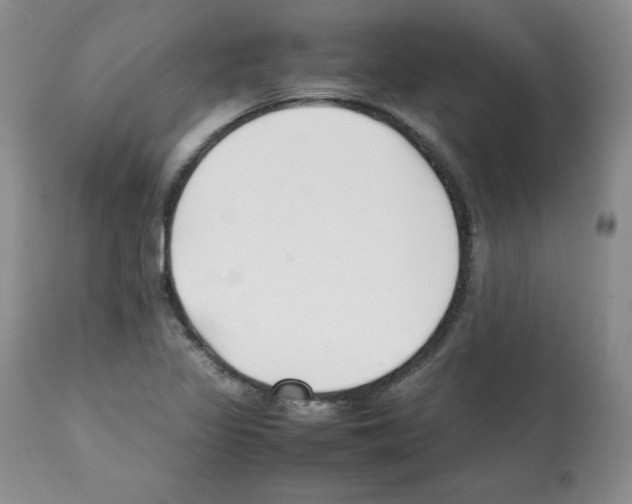 X0000112051317200909150953