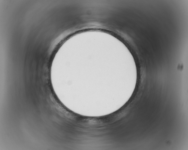 X0000112051318200909150953