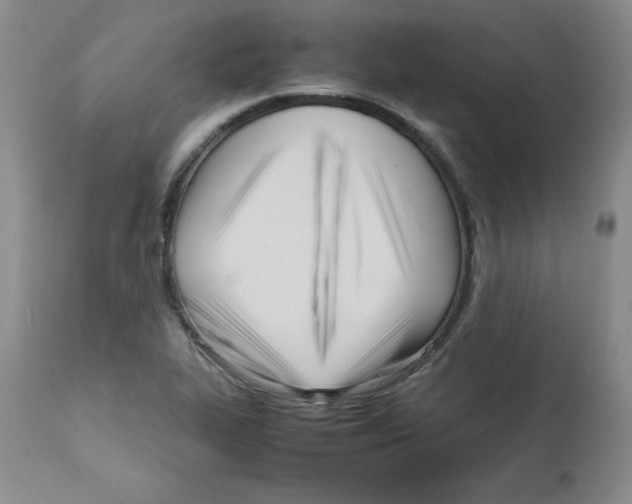 X0000112051319200909150953