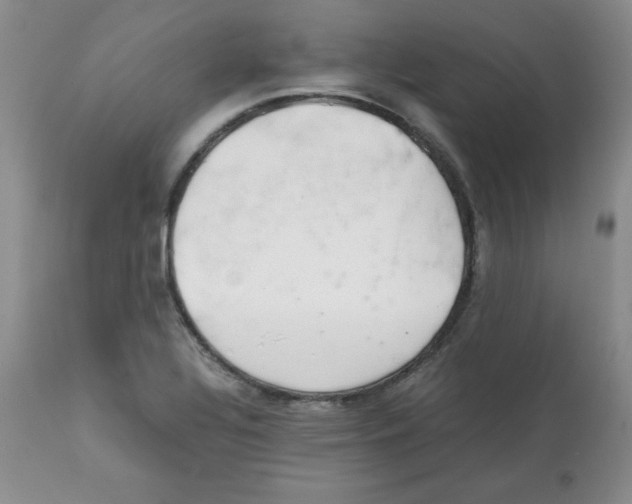X0000112051320200909150953