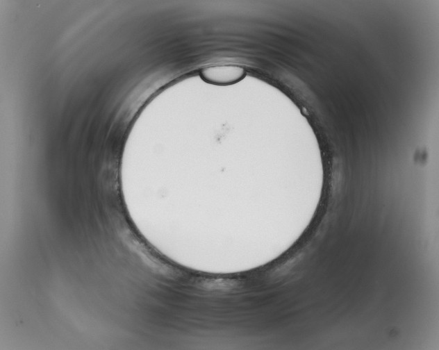 X0000112051321200909150953