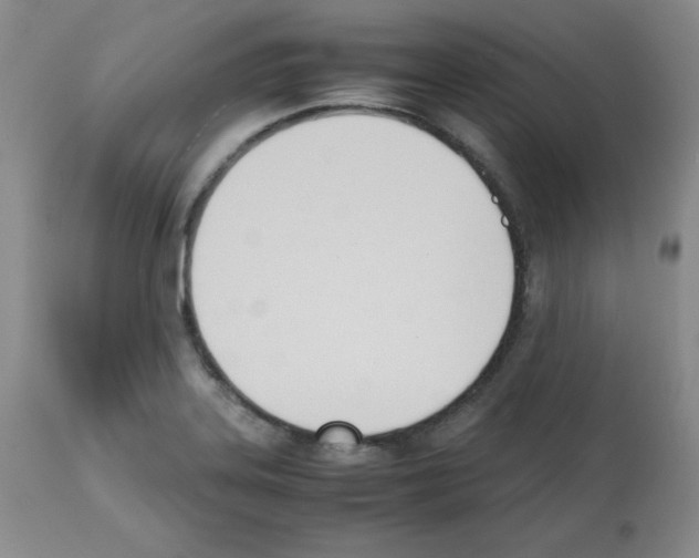 X0000112051323200909150953