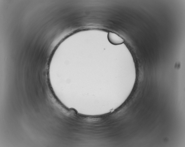 X0000112051325200909150953