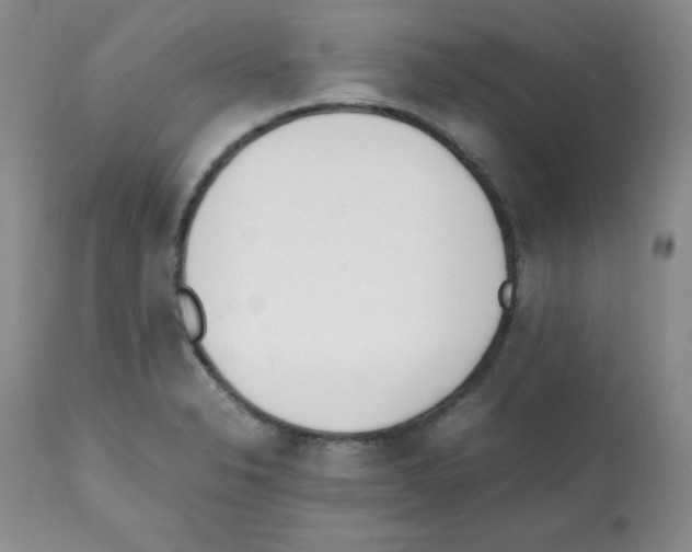 X0000112051326200909150953