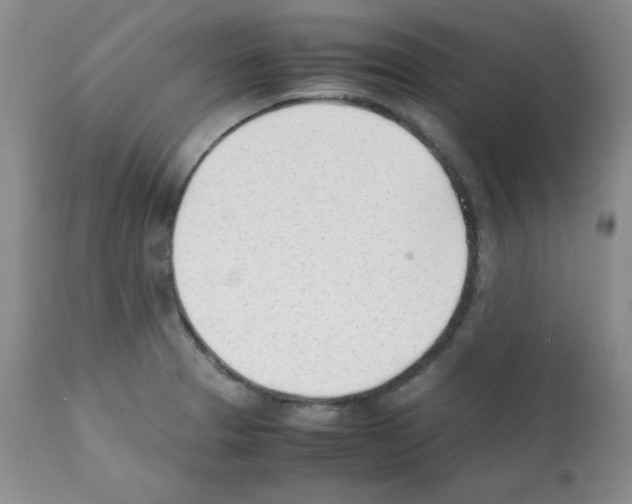 X0000112051329200909150953