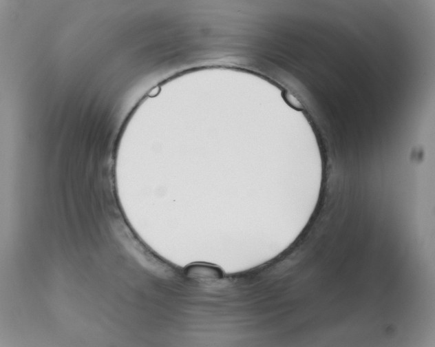 X0000112051332200909150953