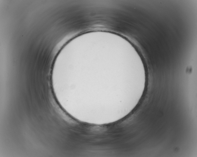 X0000112051333200909150953