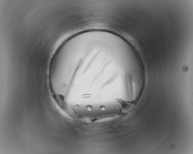 X0000112051334200909150953
