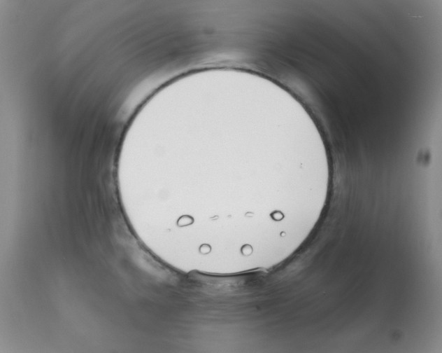 X0000112051336200909150953