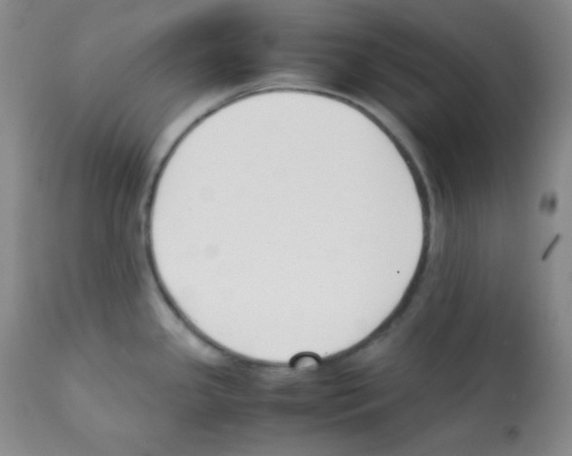 X0000112051341200909150953
