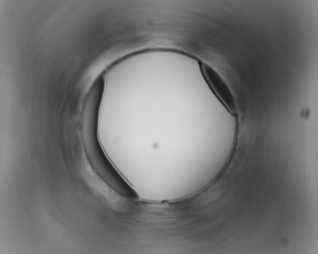 X0000112051342200909150954