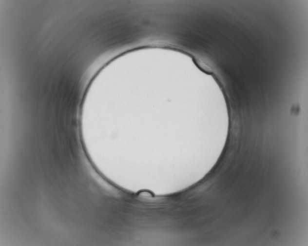 X0000112051343200909150954