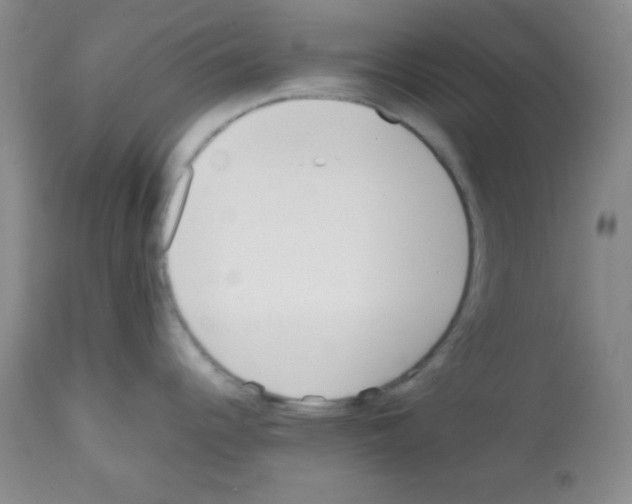 X0000112051344200909150954