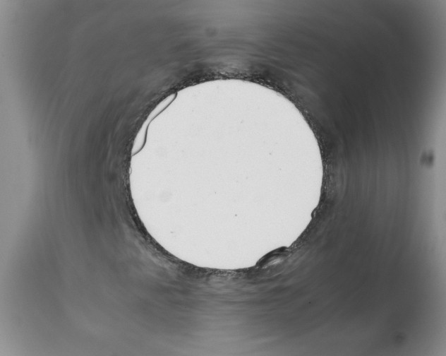 X0000112051345200909150953