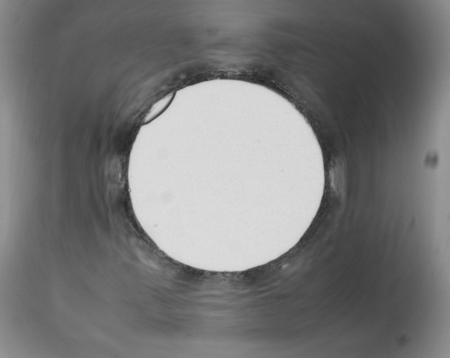 X0000112051347200909150953