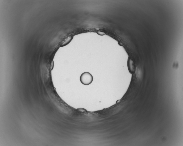 X0000112051348200909150953