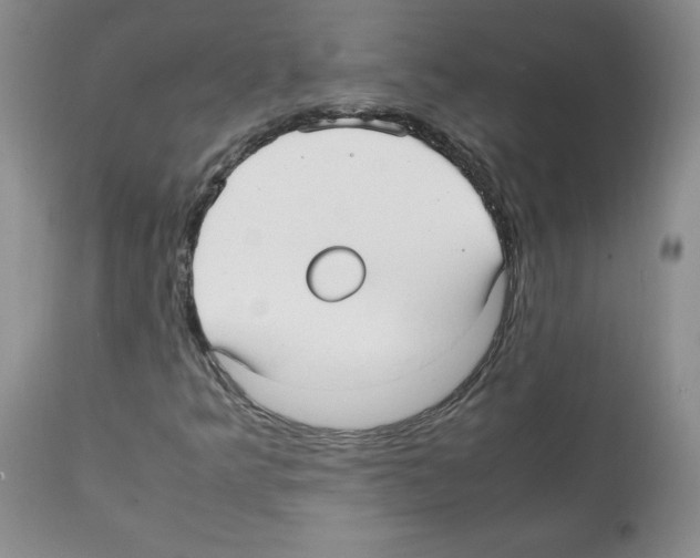 X0000112051349200909150953