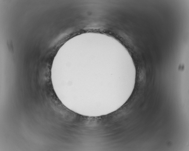 X0000112051350200909150953