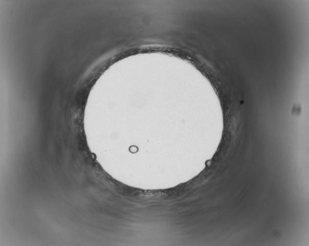 X0000112051351200909150953