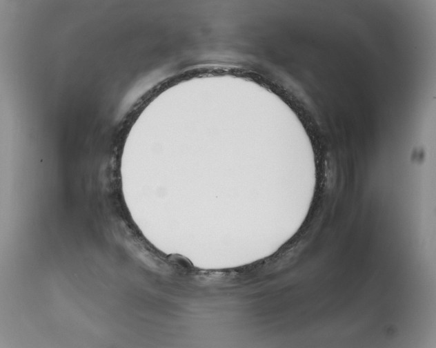 X0000112051352200909150953