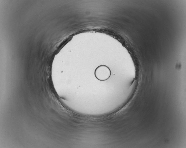 X0000112051353200909150953
