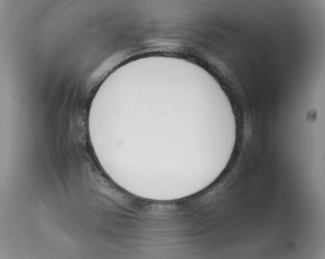X0000112051354200909150953