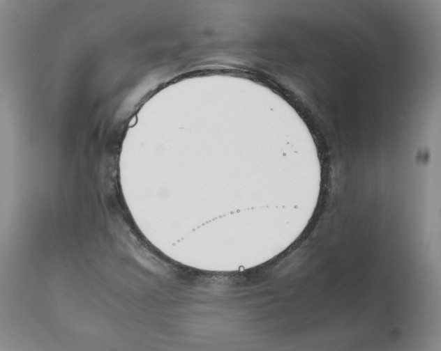 X0000112051355200909150953