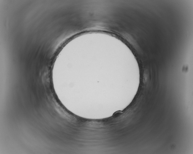 X0000112051356200909150953