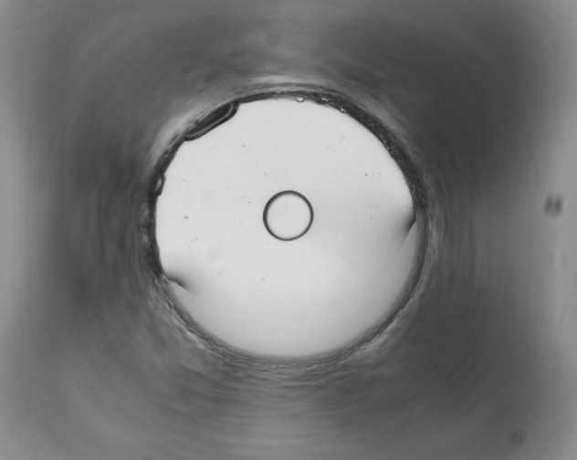 X0000112051357200909150953