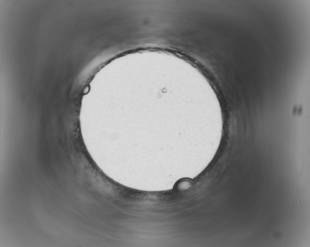 X0000112051359200909150953