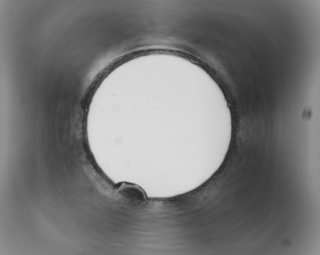 X0000112051360200909150953
