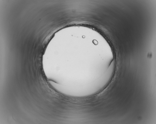 X0000112051361200909150953