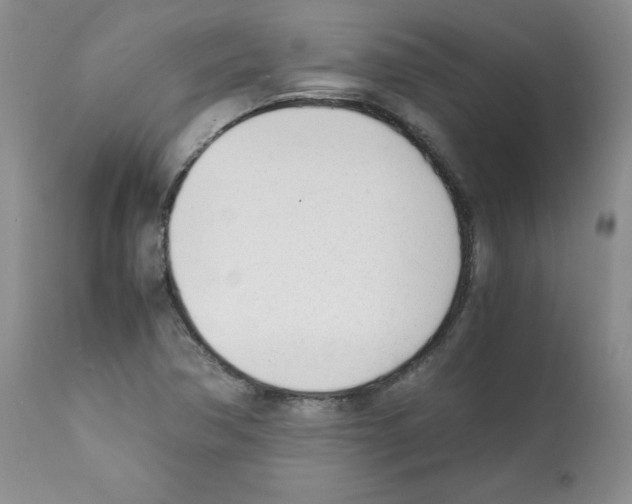 X0000112051362200909150953