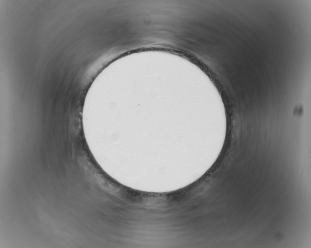 X0000112051363200909150953